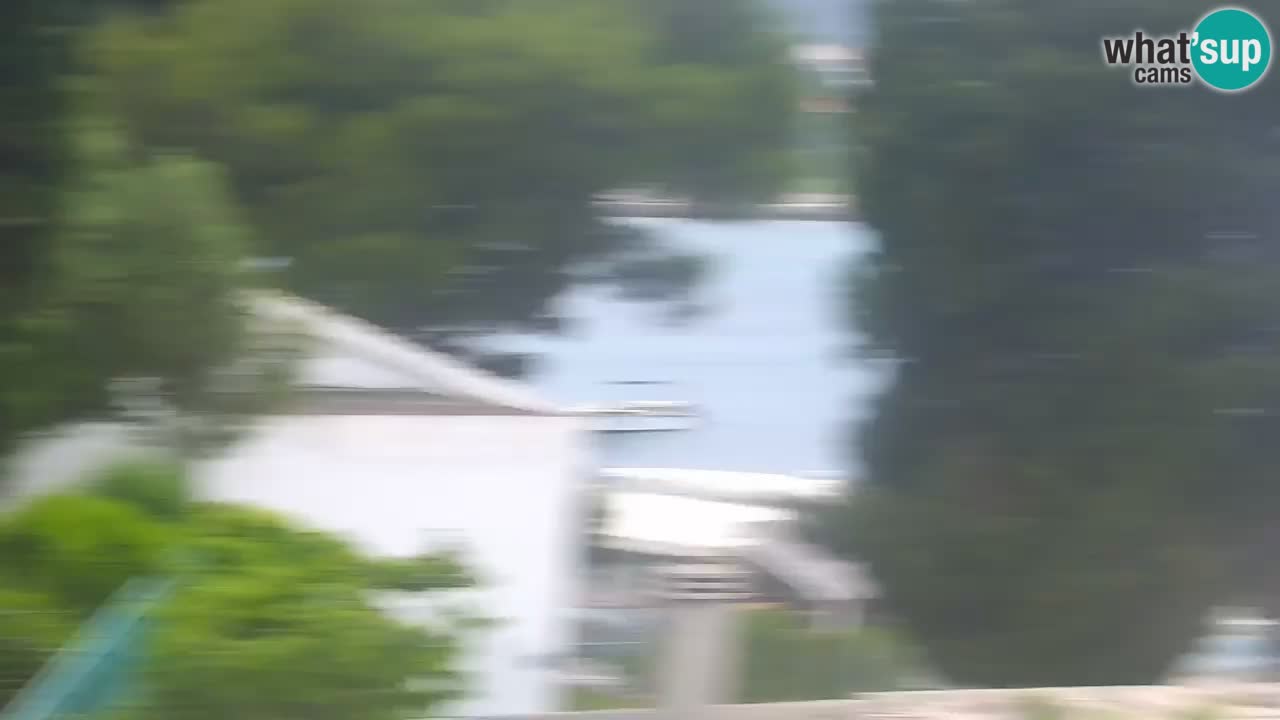 Lumbarda resort Spletna kamera Korčula