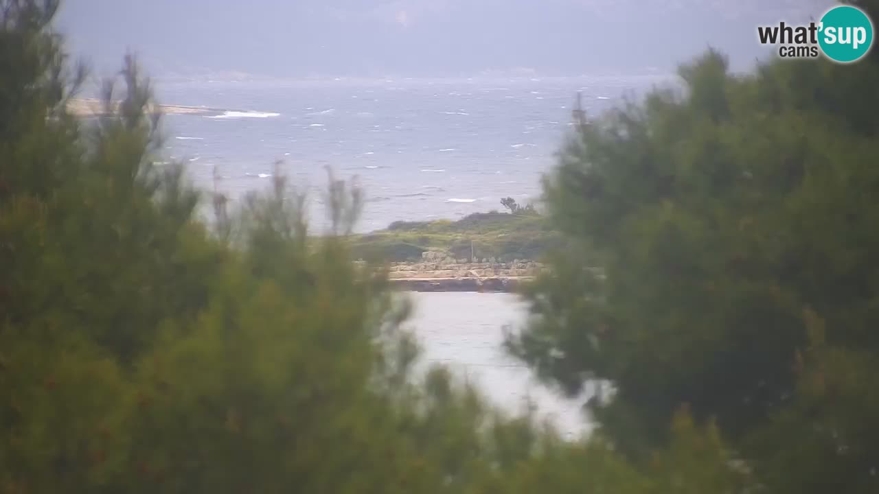 Lumbarda Resort camera en vivo Korčula