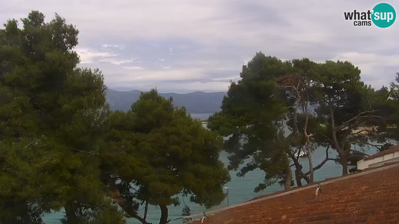 Lumbarda Resort camera en vivo Korčula