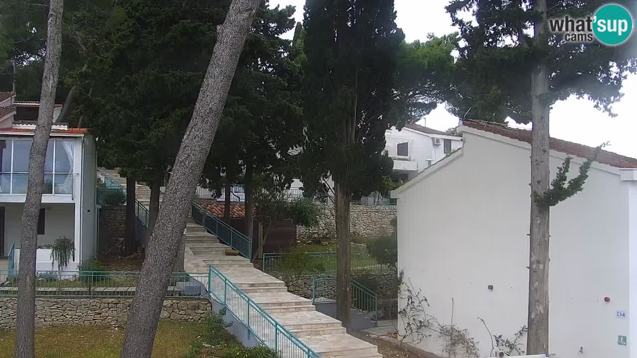 Lumbarda resort Web Kamera Korčula