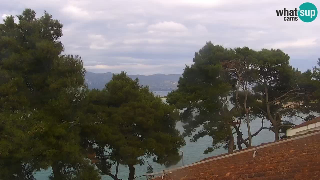 Lumbarda resort Web Kamera Korčula