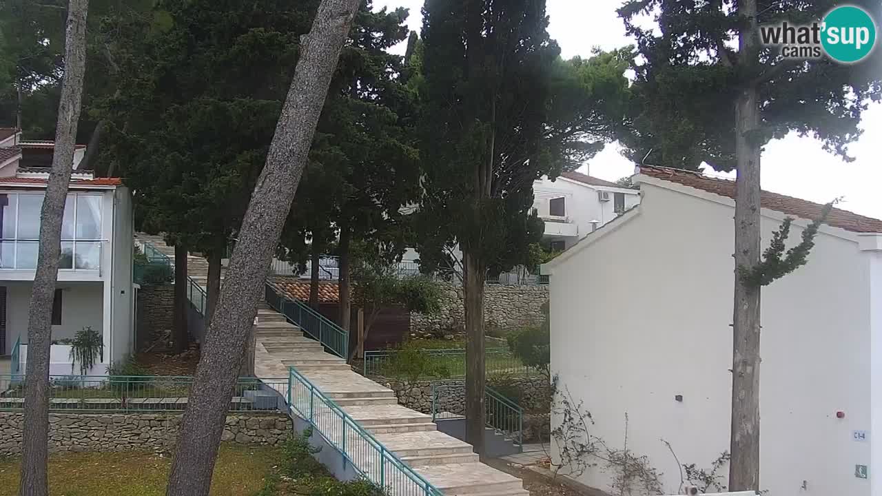 Lumbarda resort Spletna kamera Korčula