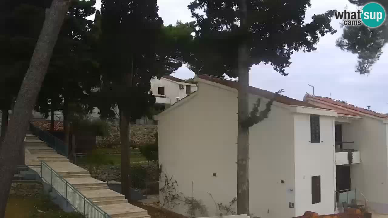 Lumbarda resort Spletna kamera Korčula