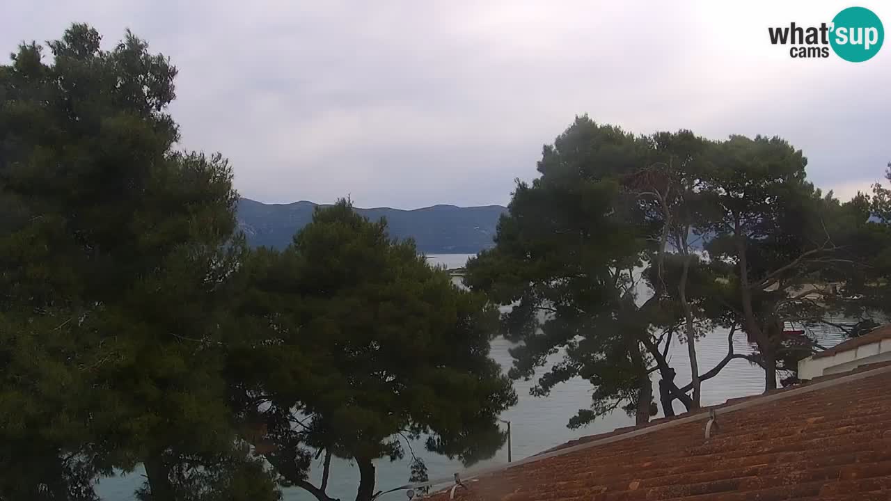 Lumbarda resort Spletna kamera Korčula