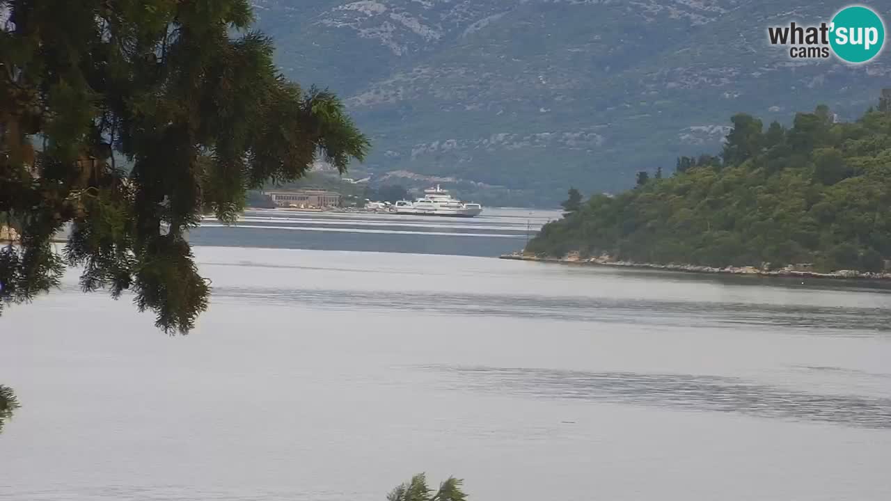 Lumbarda resort Webcam Korčula