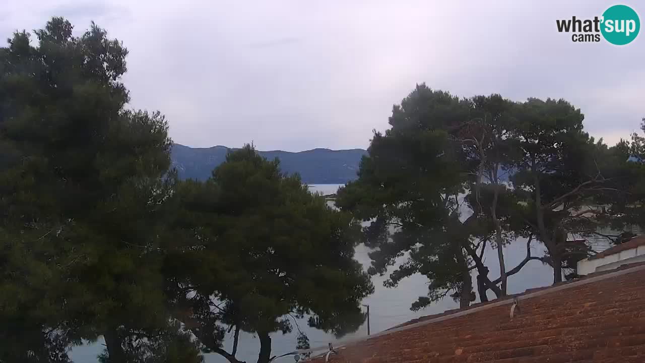 Lumbarda Resort webcam Kurzel