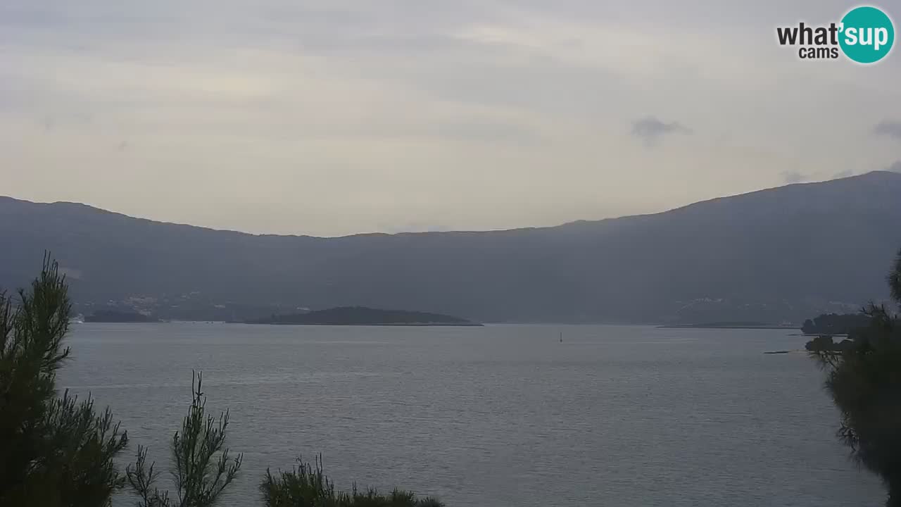 Lumbarda Resort camera en vivo Korčula
