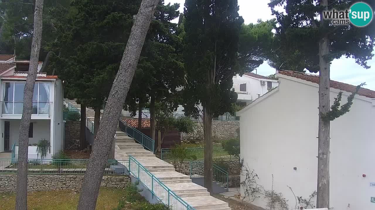 Lumbarda resort Spletna kamera Korčula