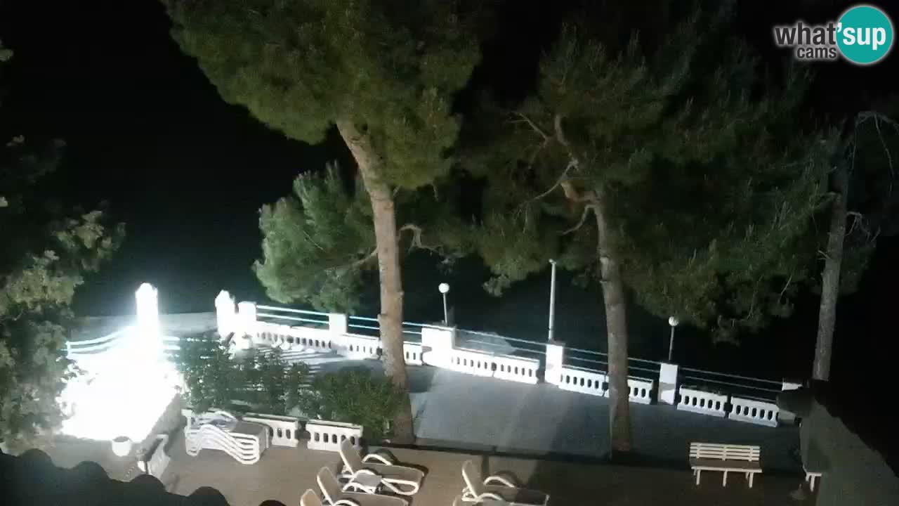 Lumbarda resort Webcam Korčula