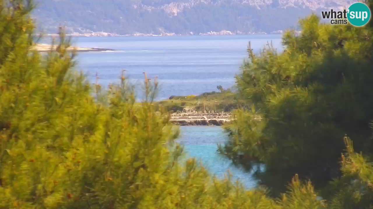 Lumbarda Resort live cam Curzola
