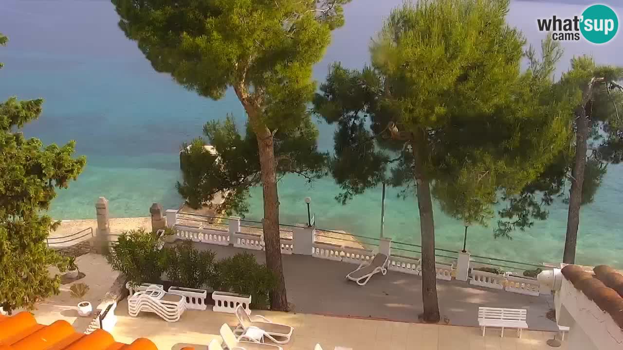 Lumbarda Resort camera en vivo Korčula