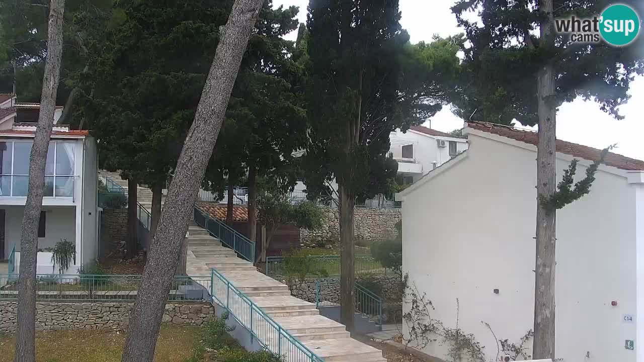 Lumbarda resort Web Kamera Korčula