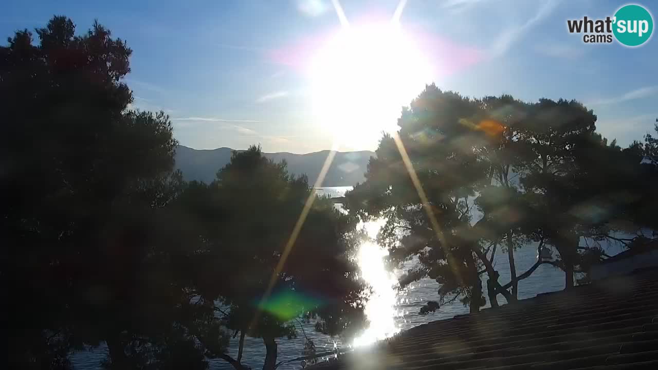 Lumbarda Resort webcam Kurzel
