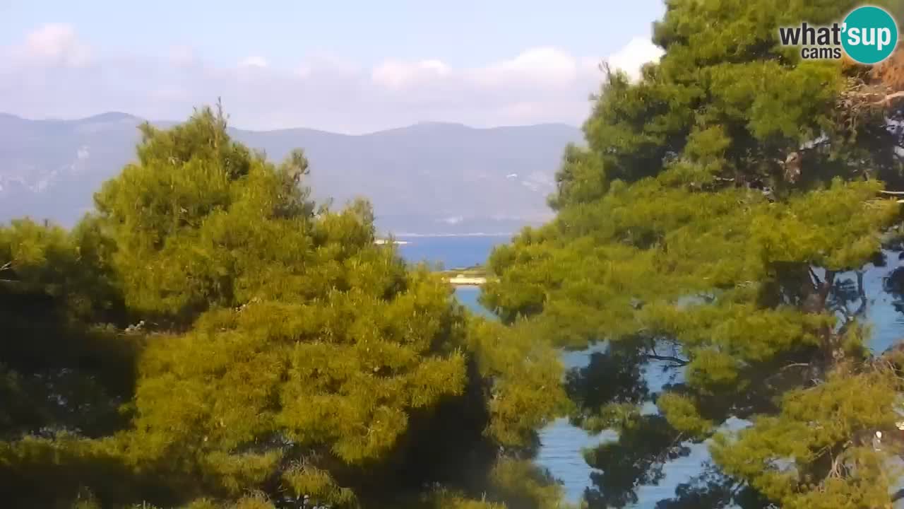 Lumbarda resort Webcam Korčula
