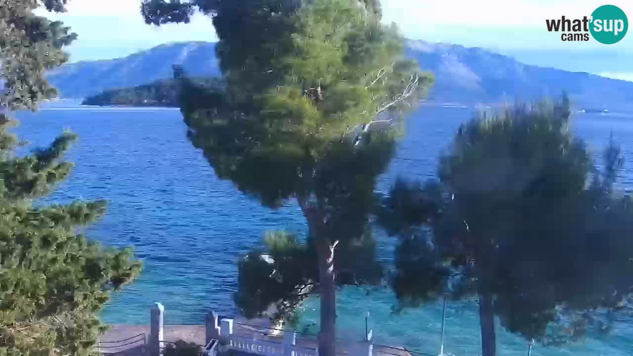 Lumbarda resort Web Kamera Korčula