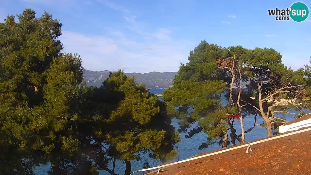Lumbarda resort Spletna kamera Korčula
