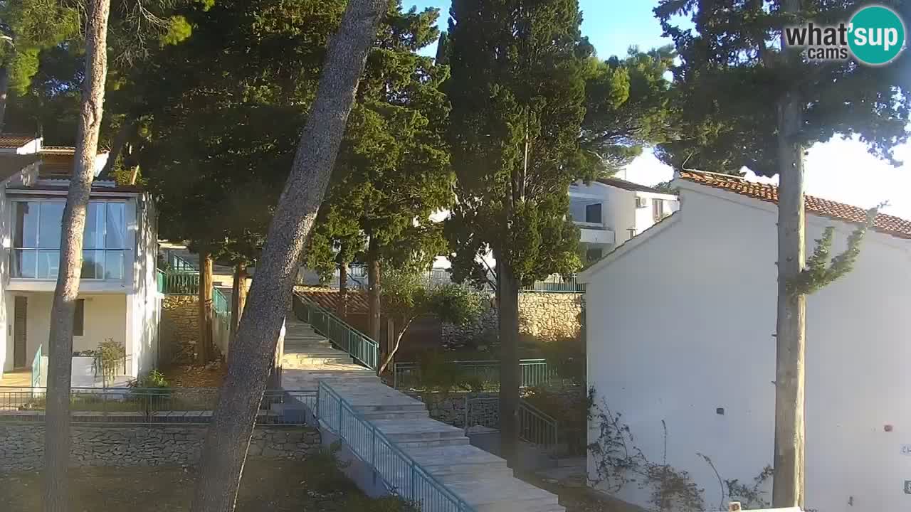 Lumbarda resort Spletna kamera Korčula