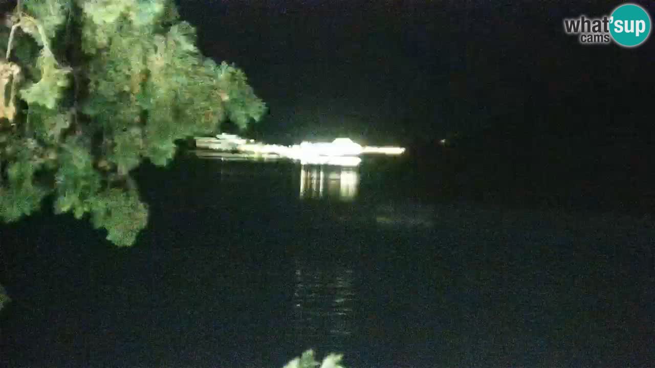 Lumbarda resort Spletna kamera Korčula