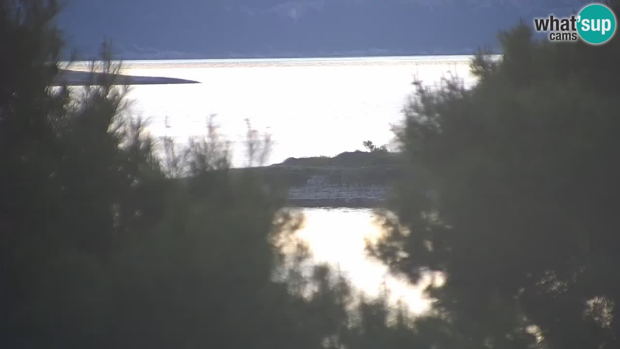 Lumbarda resort Webcam Korčula