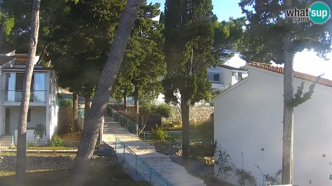 Lumbarda resort Spletna kamera Korčula