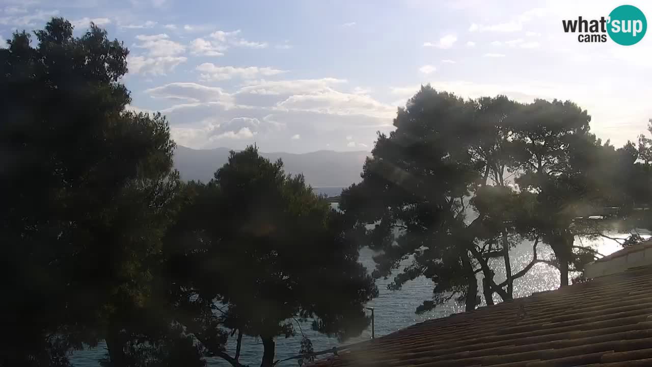 Lumbarda resort Spletna kamera Korčula