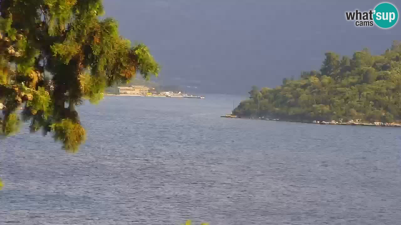 Lumbarda Resort live cam Curzola