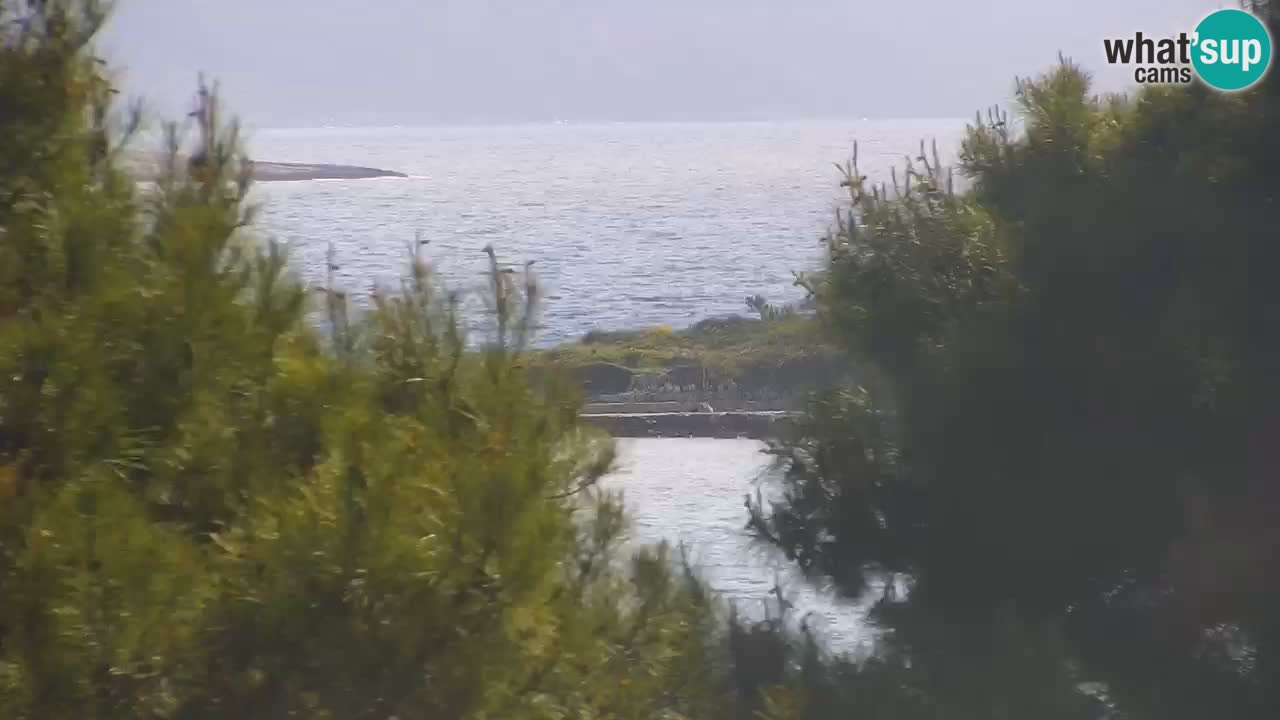 Lumbarda Resort live cam Curzola