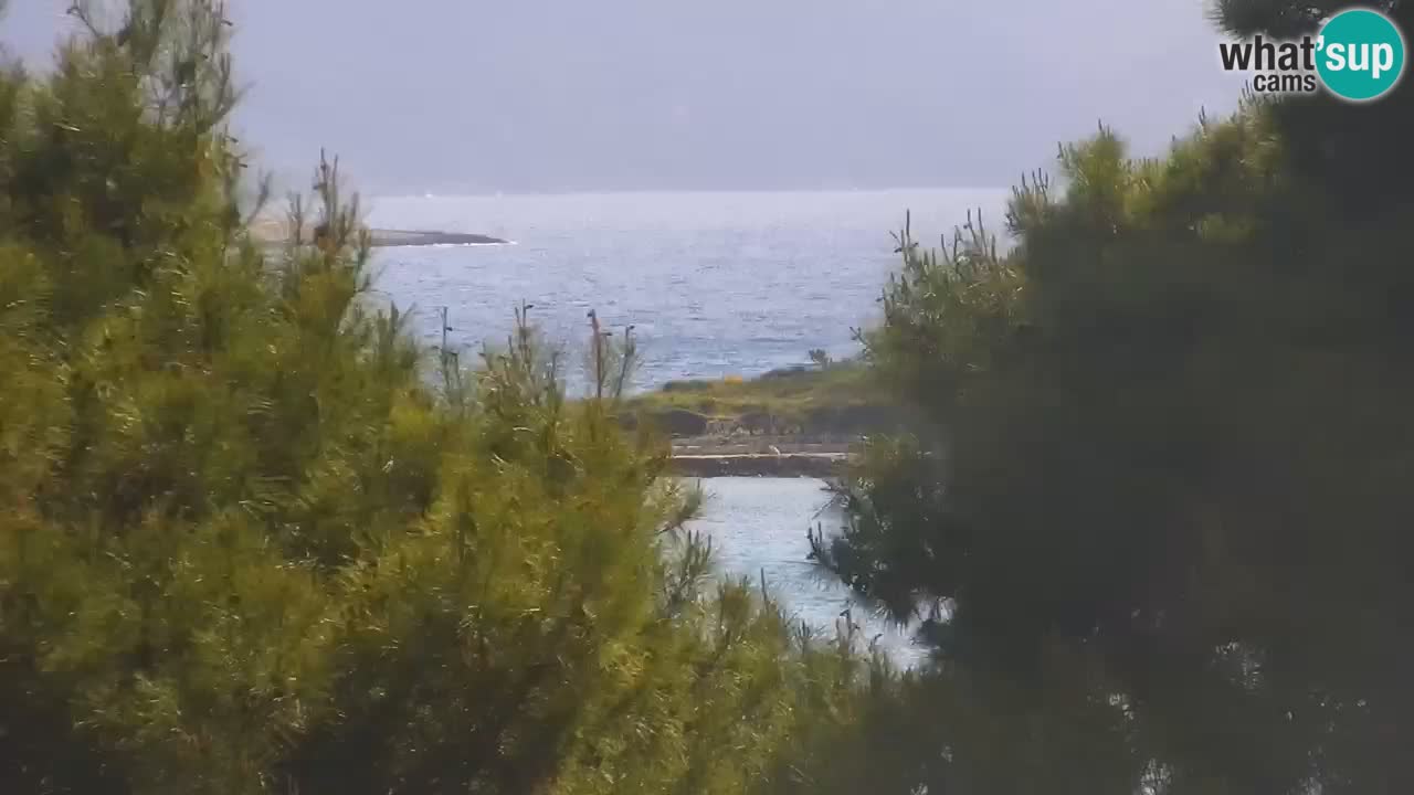 Lumbarda resort Spletna kamera Korčula
