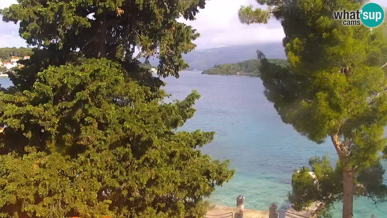 Lumbarda resort Web Kamera Korčula