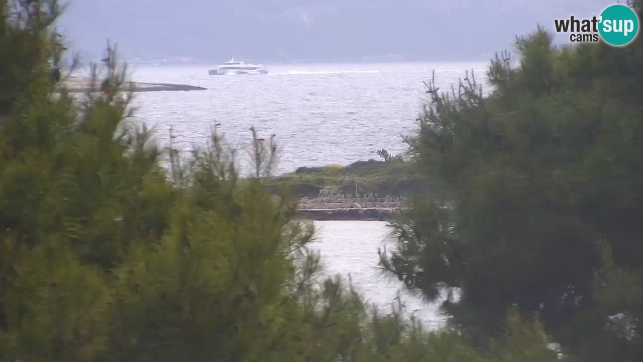 Lumbarda Resort camera en vivo Korčula