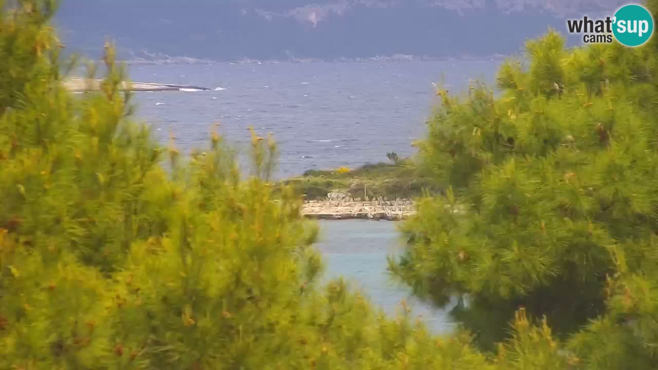 Lumbarda resort Web Kamera Korčula