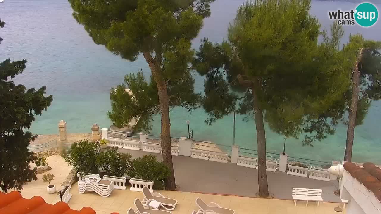 Lumbarda resort Webcam Korčula