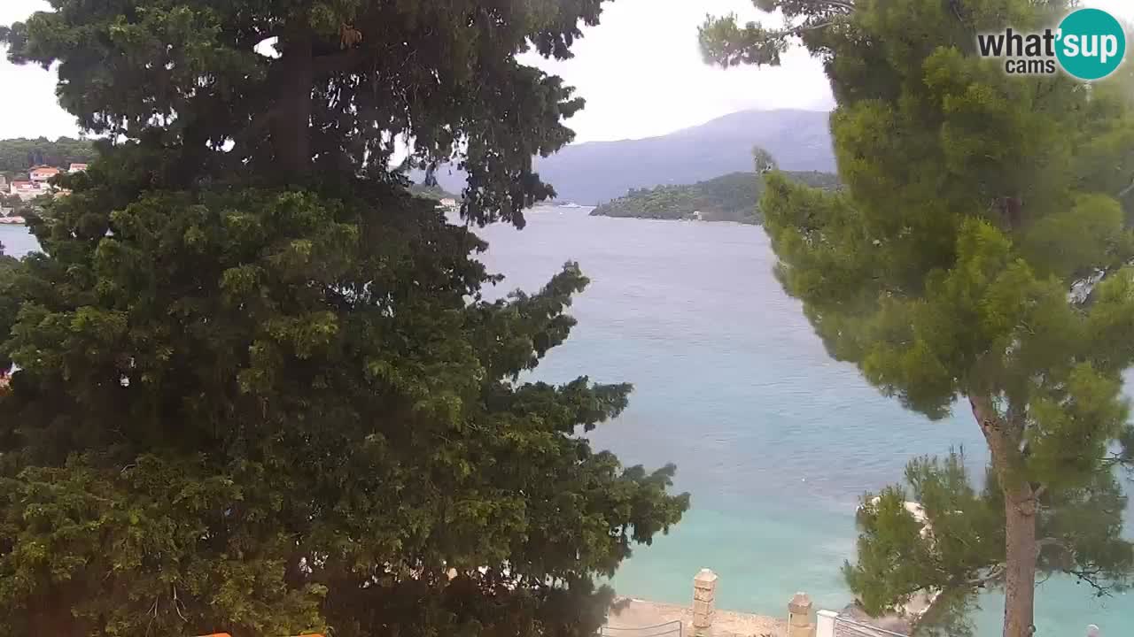 Lumbarda Resort camera en vivo Korčula