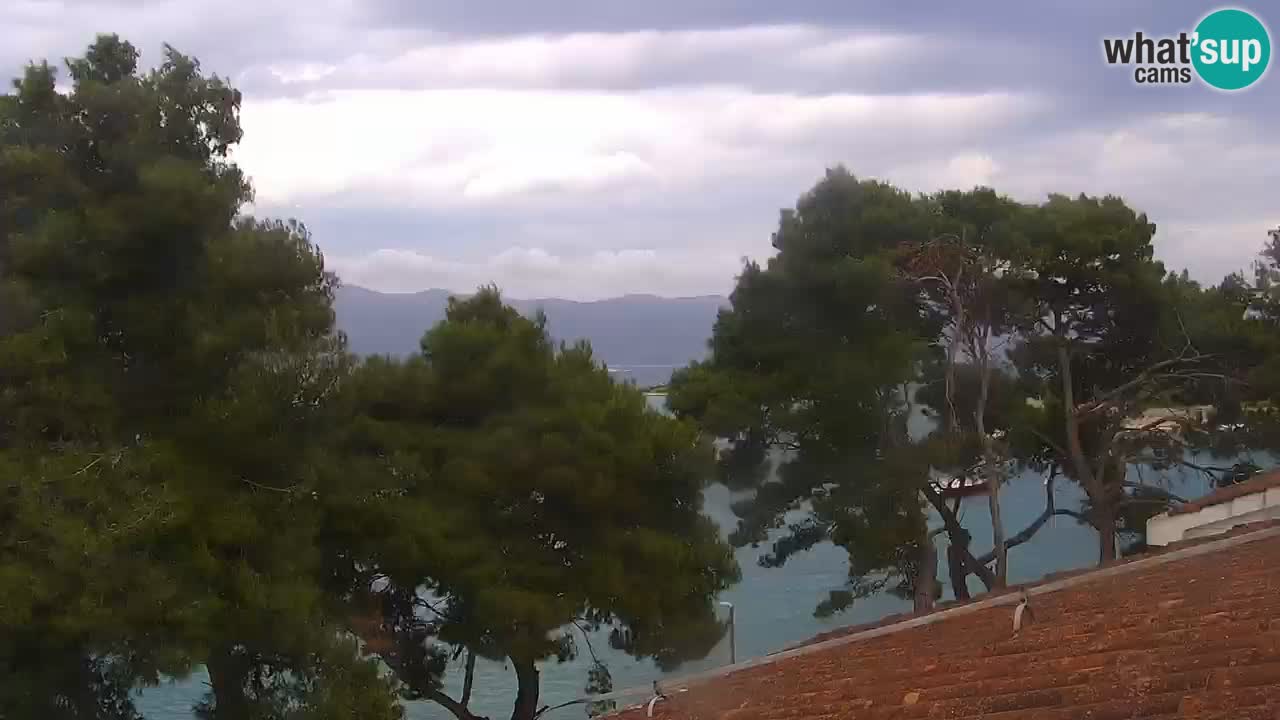 Lumbarda Resort live cam Curzola