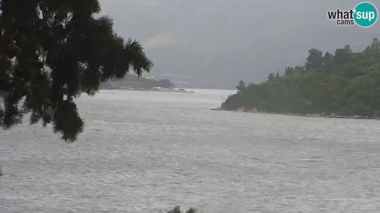 Lumbarda Resort camera en vivo Korčula