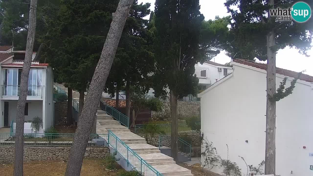 Lumbarda resort – livecam Korčula