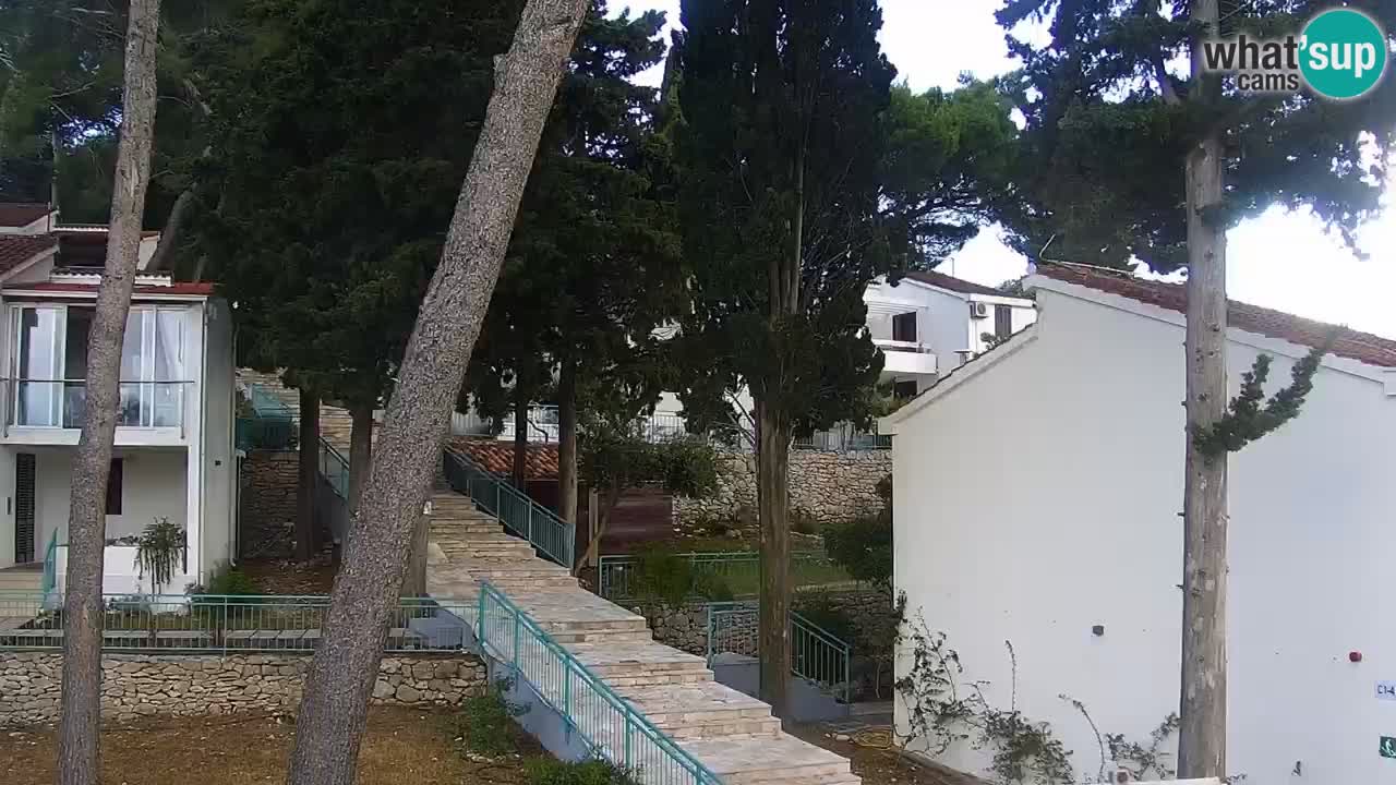Lumbarda resort Spletna kamera Korčula