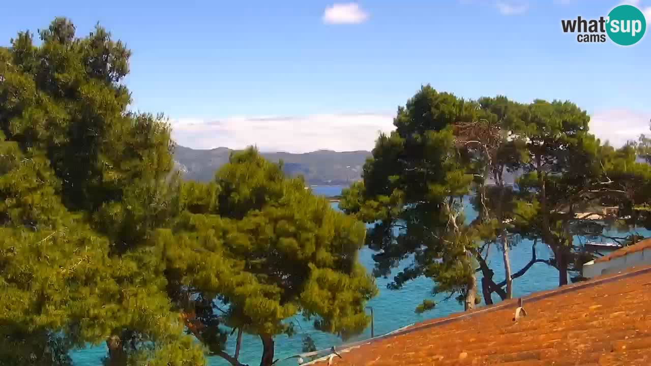 Lumbarda Resort live cam Curzola