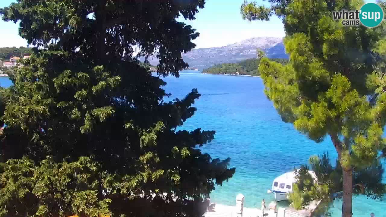 Lumbarda resort Webcam Korčula