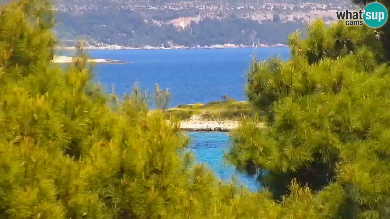 Lumbarda resort – livecam Korčula