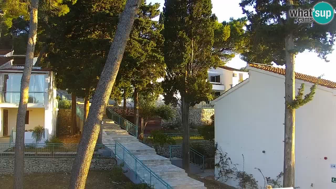 Lumbarda resort Spletna kamera Korčula