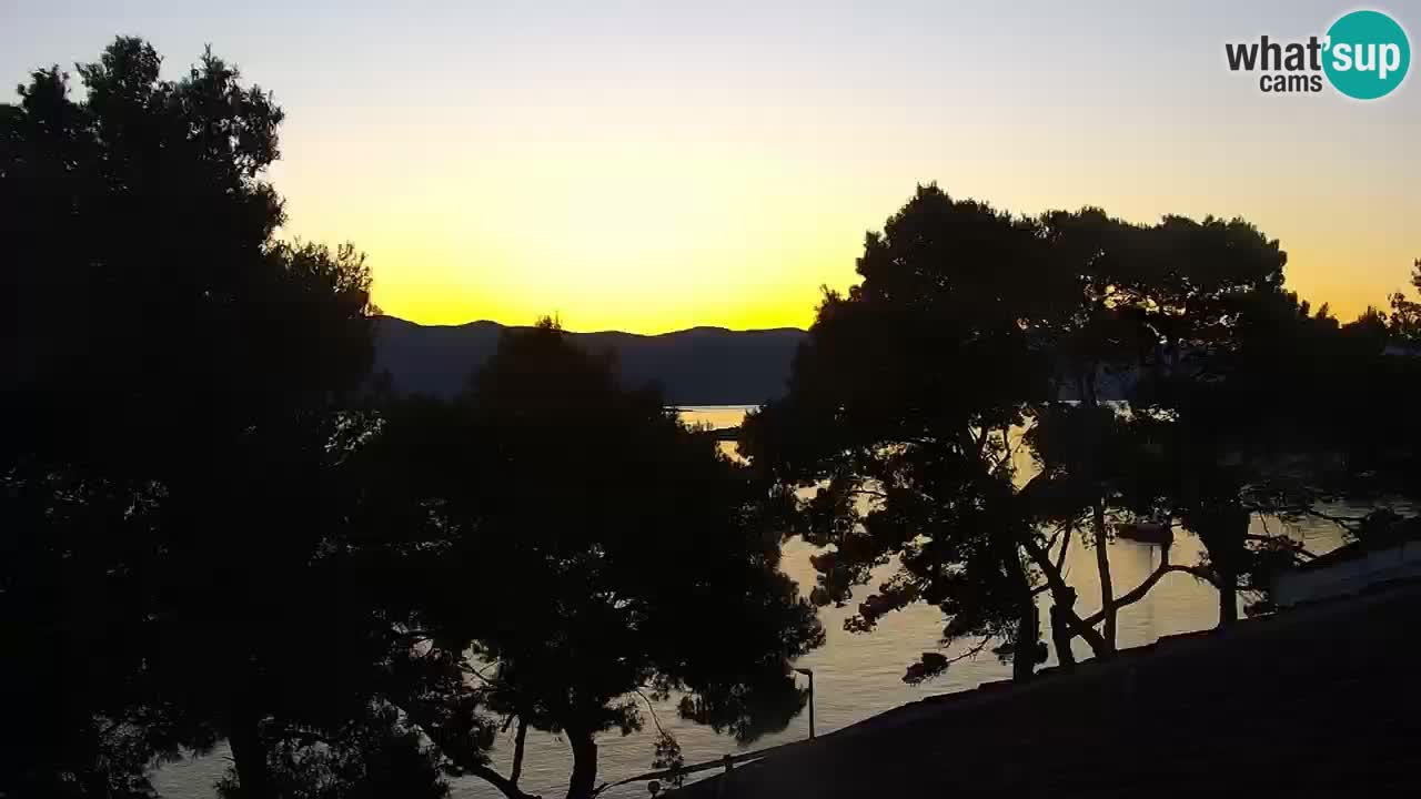 Lumbarda resort Webcam Korčula
