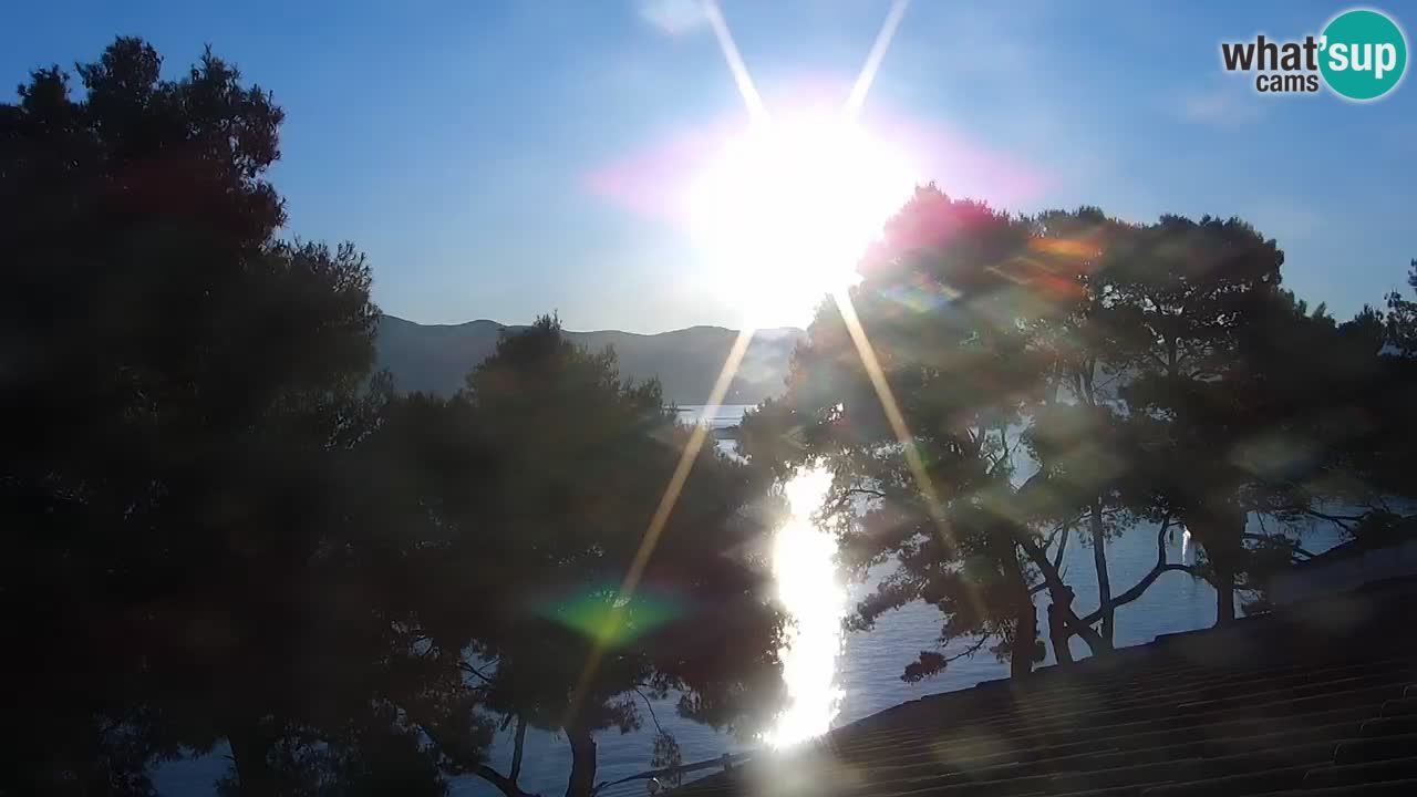 Lumbarda Resort live cam Curzola