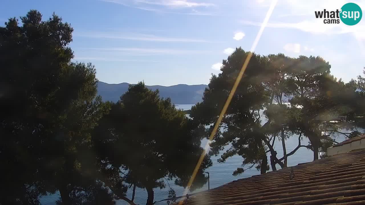 Lumbarda Resort camera en vivo Korčula