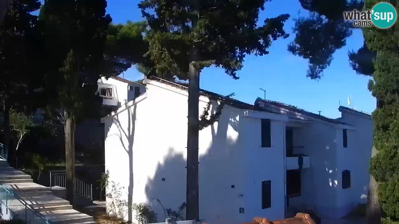 Lumbarda Resort camera en vivo Korčula