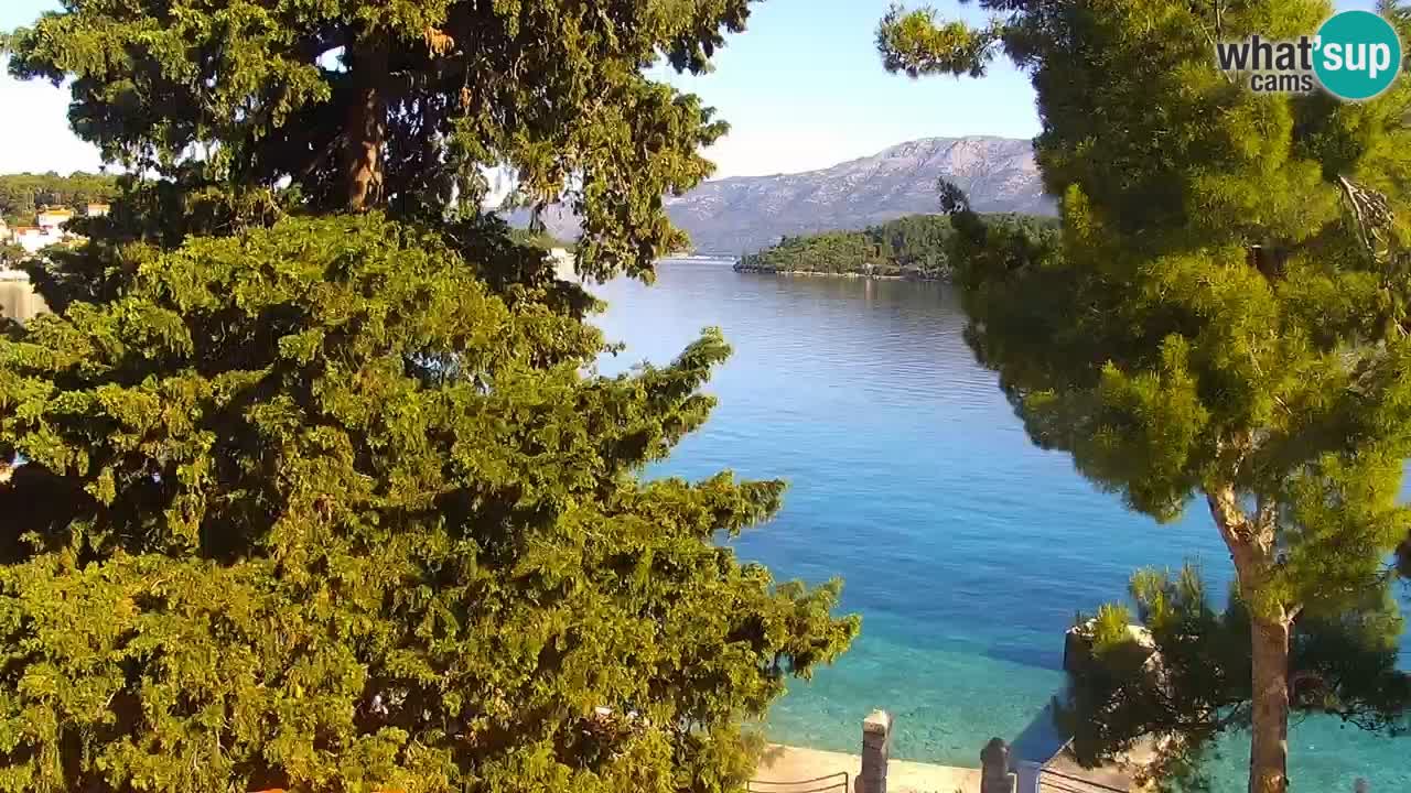 Lumbarda Resort camera en vivo Korčula