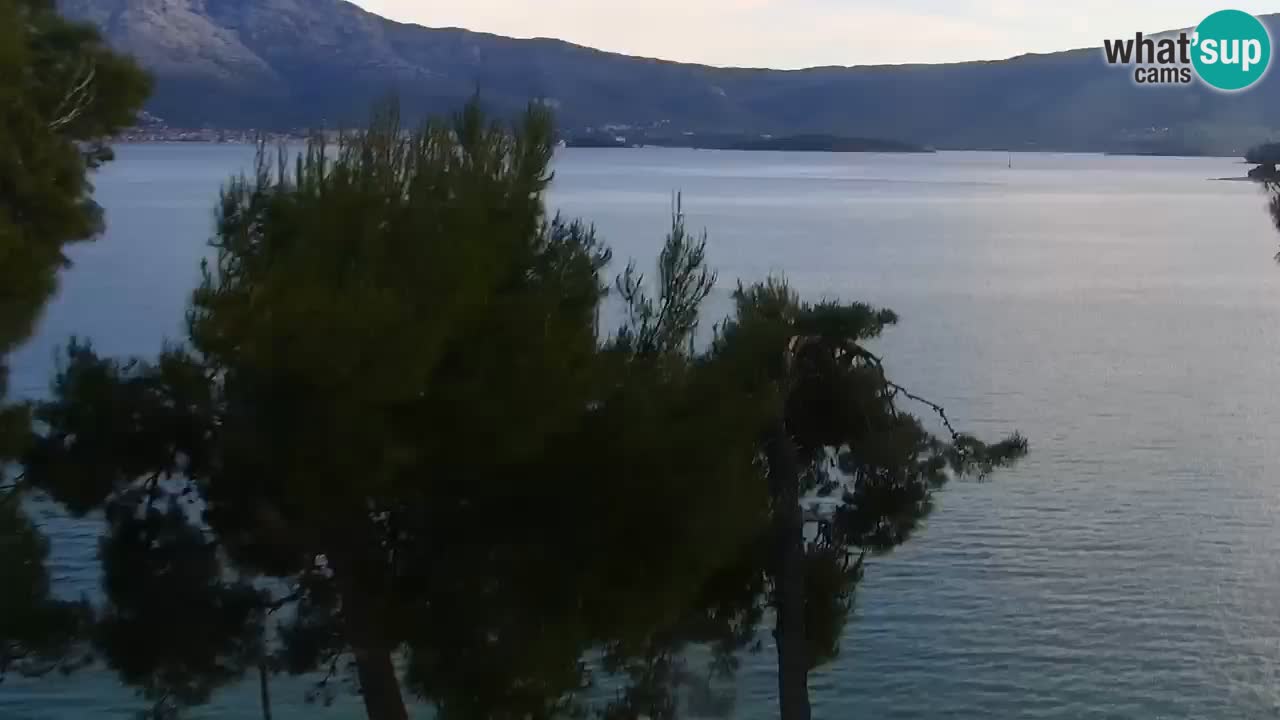 Lumbarda resort Webcam Korčula