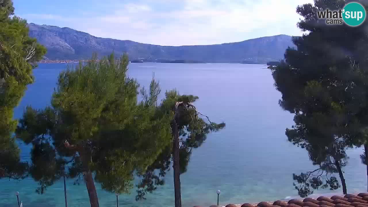 Lumbarda resort Webcam Korčula