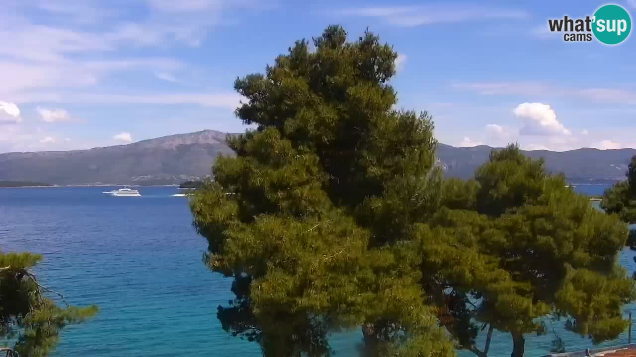 Lumbarda resort Web Kamera Korčula