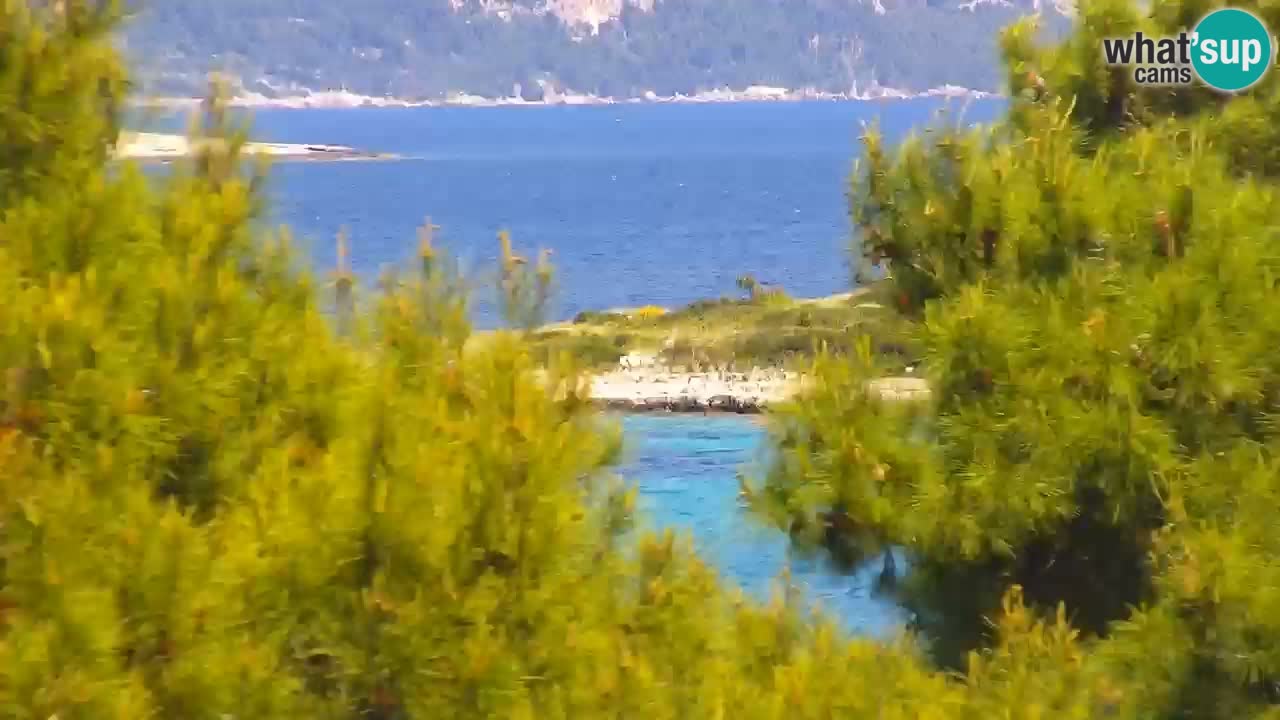 Lumbarda Resort camera en vivo Korčula